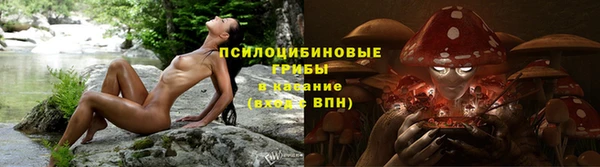 гидропоника Каменск-Шахтинский