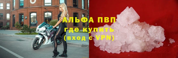 хмурый Каменногорск