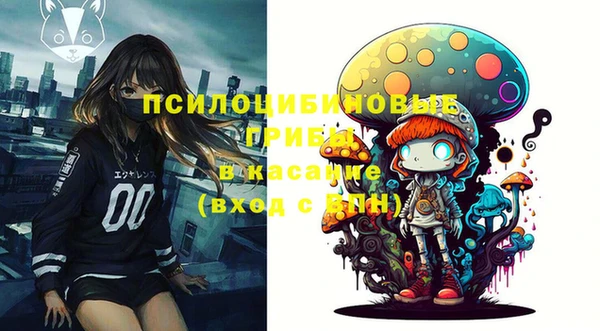 хмурый Каменногорск