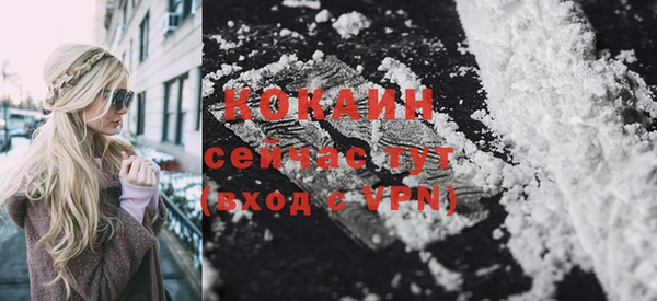 хмурый Каменногорск