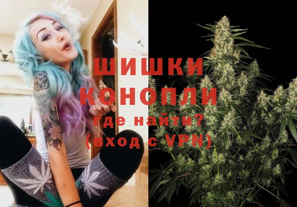 хмурый Каменногорск