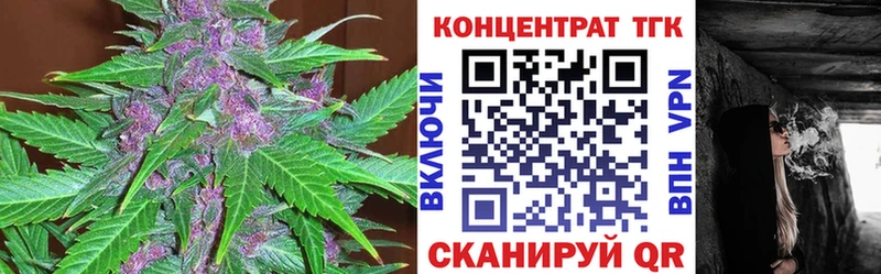 ТГК концентрат Инта