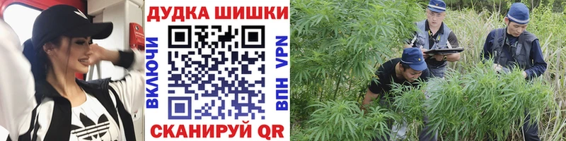 Конопля планчик закладка Инта